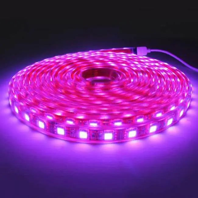 Светодиодный светильник s розовый/фиолетовый/теплый белый 5 м 300 светодиодный S