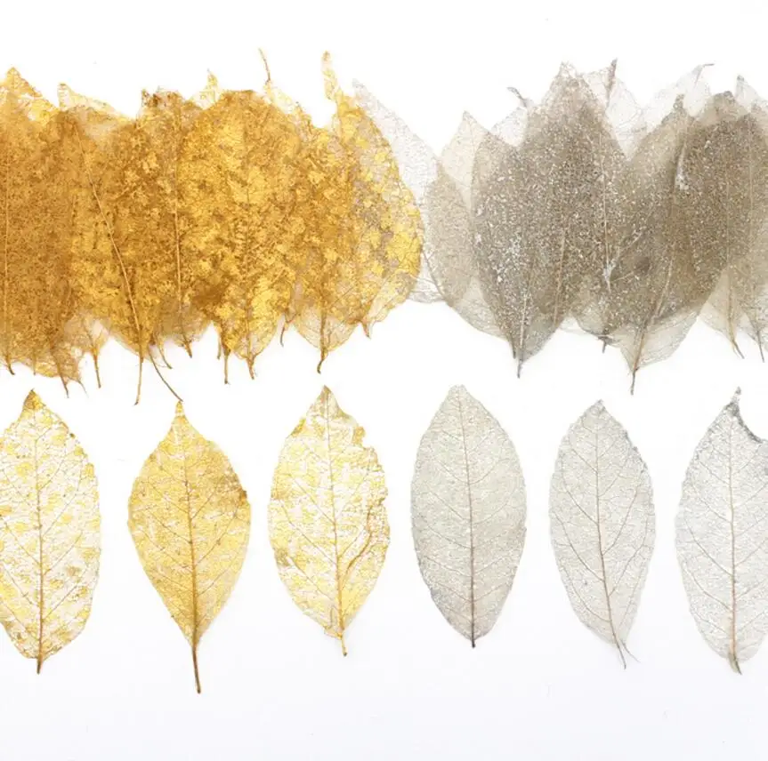 Высушенные окрашенные листья Fraxinus America вены в виде листьев аксессуары для