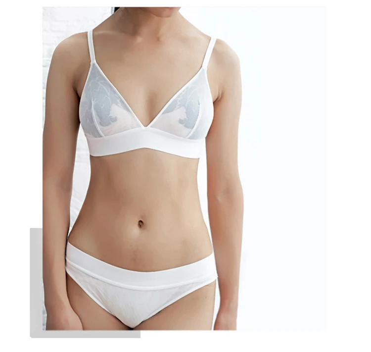 TERMEZY Women Lace Sexy Underwear Embroidery Lingerie Set Thin Transparent Ultra-thin Temptation Push Up Bra And Briefs Set