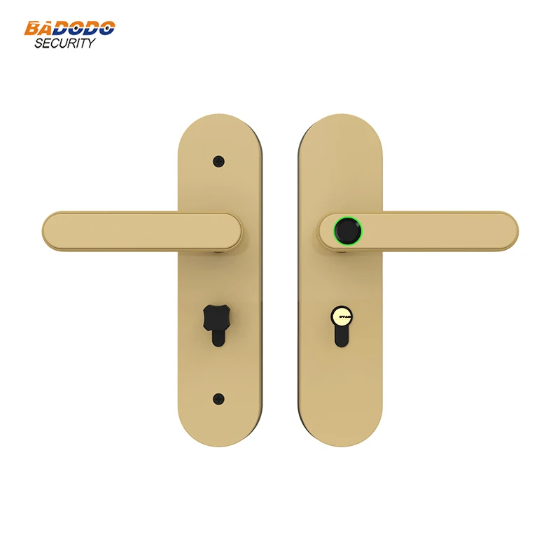 Fingerprint Lock Electric Door Lock with emergency mechanical key for indoor home wooden door
