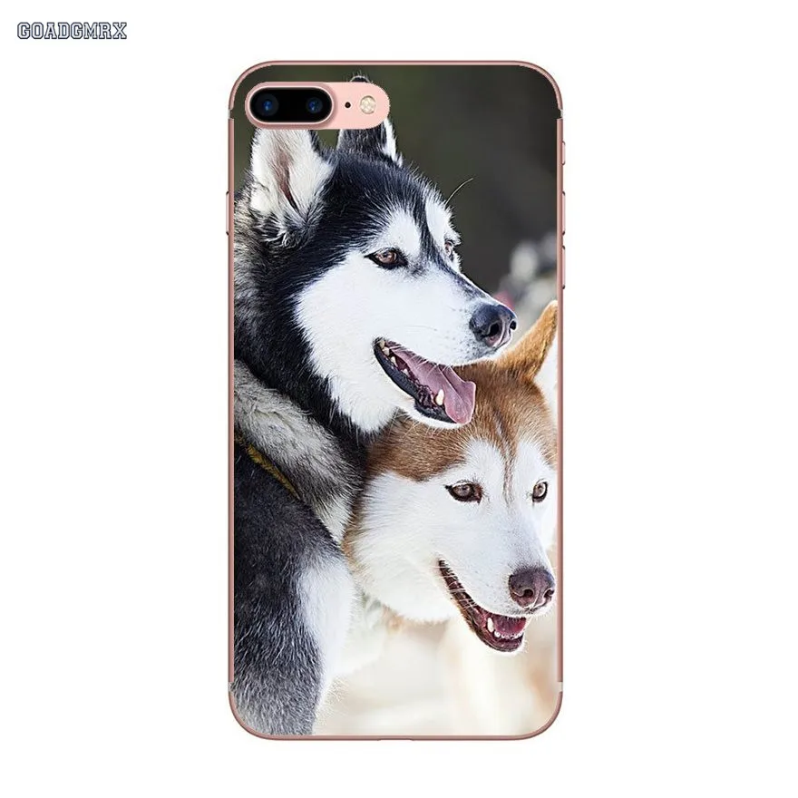 Прозрачные мягкие чехлы Pretty Siberian Husky Dogs для Samsung Galaxy S10 Lite J1 J2 J3 J5 J7 2015 2016 J4 J6 Plus J8 2018