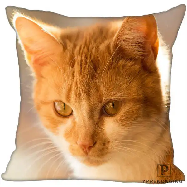 Square Pillowcases Custom Decorative Pillowcase Cats Kitten Rain Square Zippered Pillow Cover(One Side)80527-21-03 - Цвет: Square Pillowcases