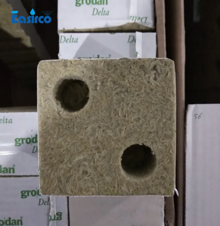 Два отверстия Grodan 4 ''rockwool Гидропонные средства для выращивания томатов.