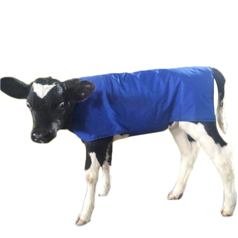 

Livestock Cow Calf Warm Clothing Cold-proof vest Quality Cotton Cloth for Little Cowl Cattle Farm Equipment