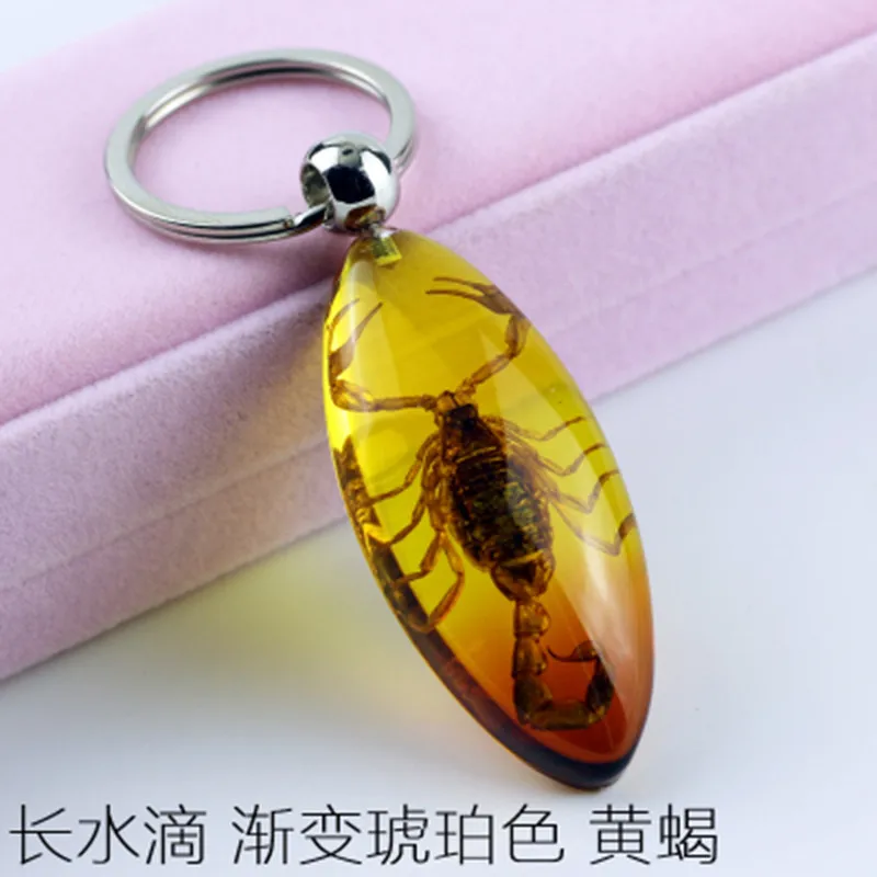 

1pcs Insect Specimen Artificial Amber Car Keychain Real Drop sScorpion Spider Green Beetle Jewelry Taxidermy Gift Accessories