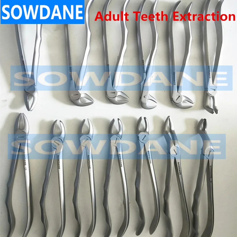 High Quality Dental Adult Tooth Extraction Plier Forcep Teeth Extraction Plier Forcep Dental Surgical Tool Instrument