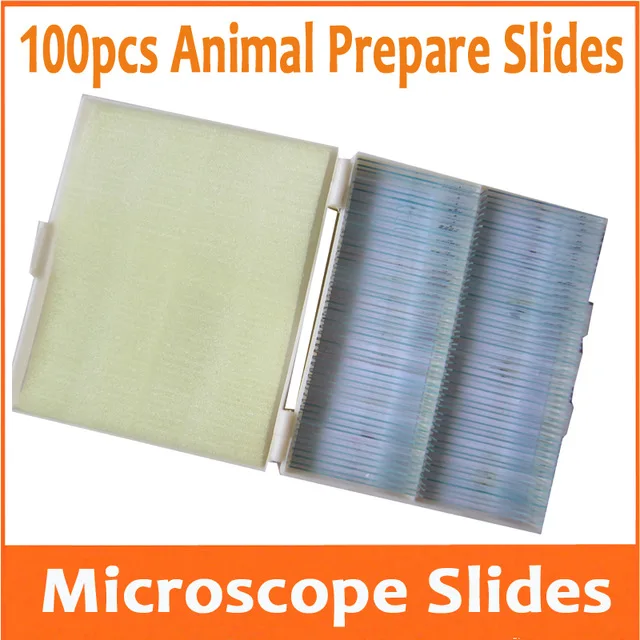 

100pcs Optical Glass Animal Professional Student Lab Microscope Specimen Bio-microscope Slides for Educational School