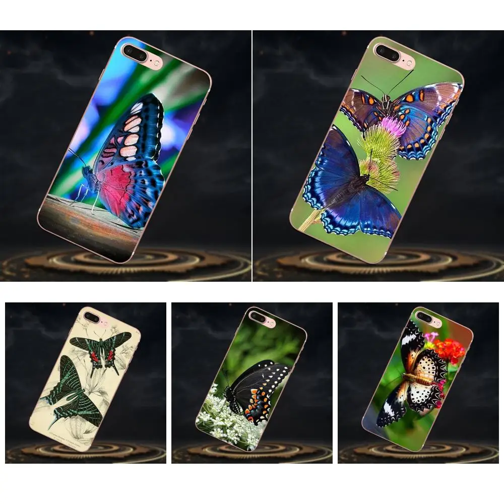 Чехол для телефона с принтом бабочки Apple iPhone 4 4S 5 5C 5S SE 6 6S 7 8 Plus X XS Max XR|Бамперы| |
