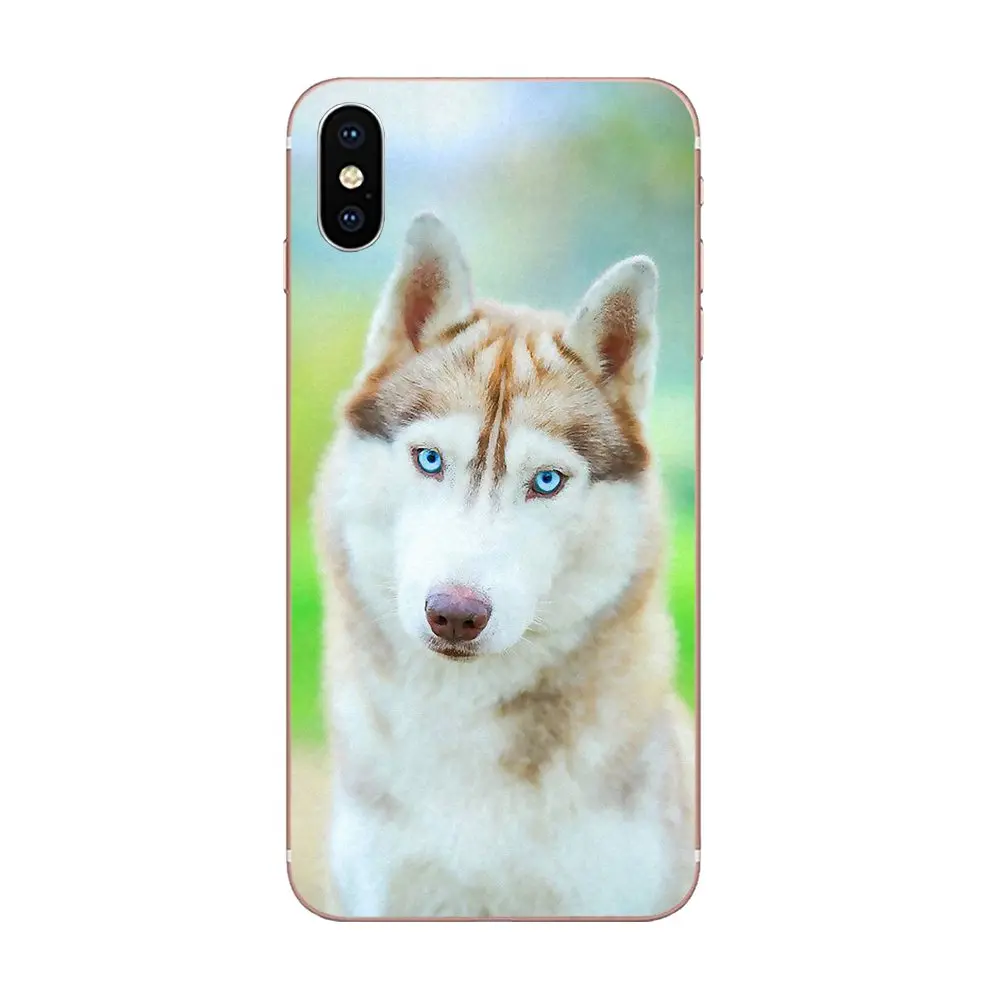ТПУ чехол для телефона huawei P7 P8 P9 P10 P20 P30 Lite Mini Plus Pro 2017 2018 2019 дизайн прекрасная