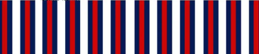 16 22 25 38 50 75 мм Ширина полоса ленты печатных Grosgrain ленты ST01 - Цвет: 24