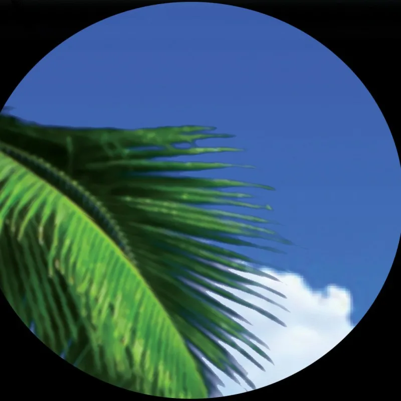 

Photo wallpaper Blue sky white clouds sea beach palm simple sea view background wall wallpaper mural living room home decoration