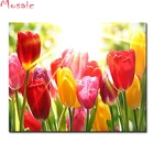 Полный 5D Diy Алмазная картина цветы 