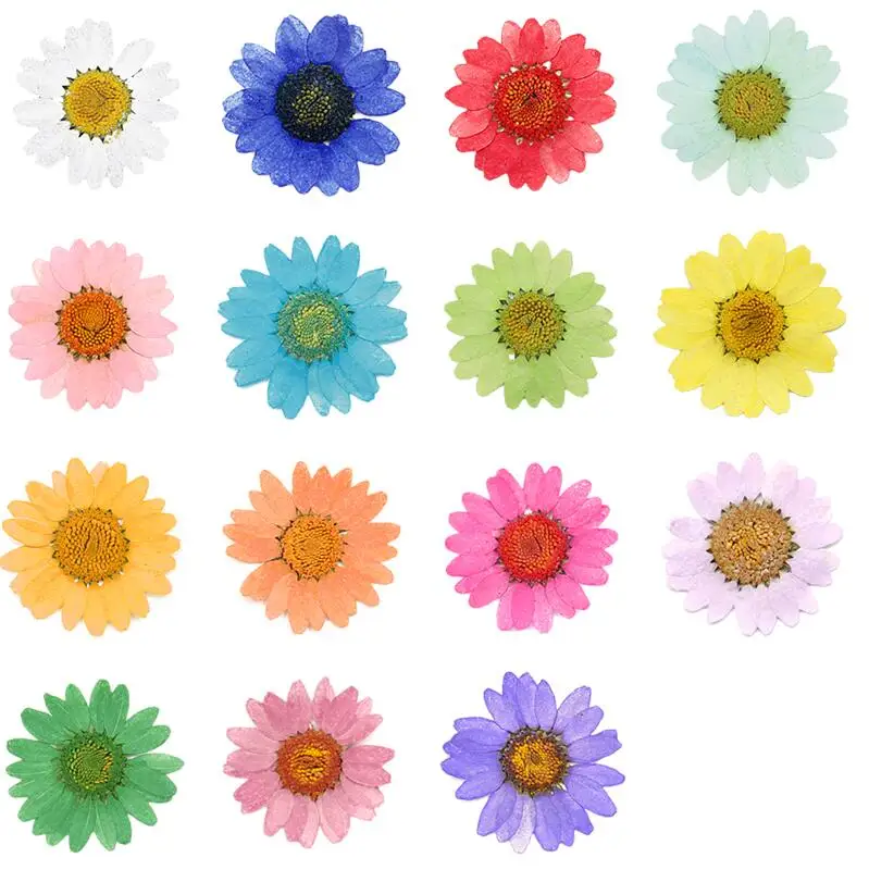 

60pcs Pressed Dried 2-3cm Chrysanthemum Multicaule Flowers Plant Herbarium For Jewelry Postcard Invitation Card Phone Case Craft