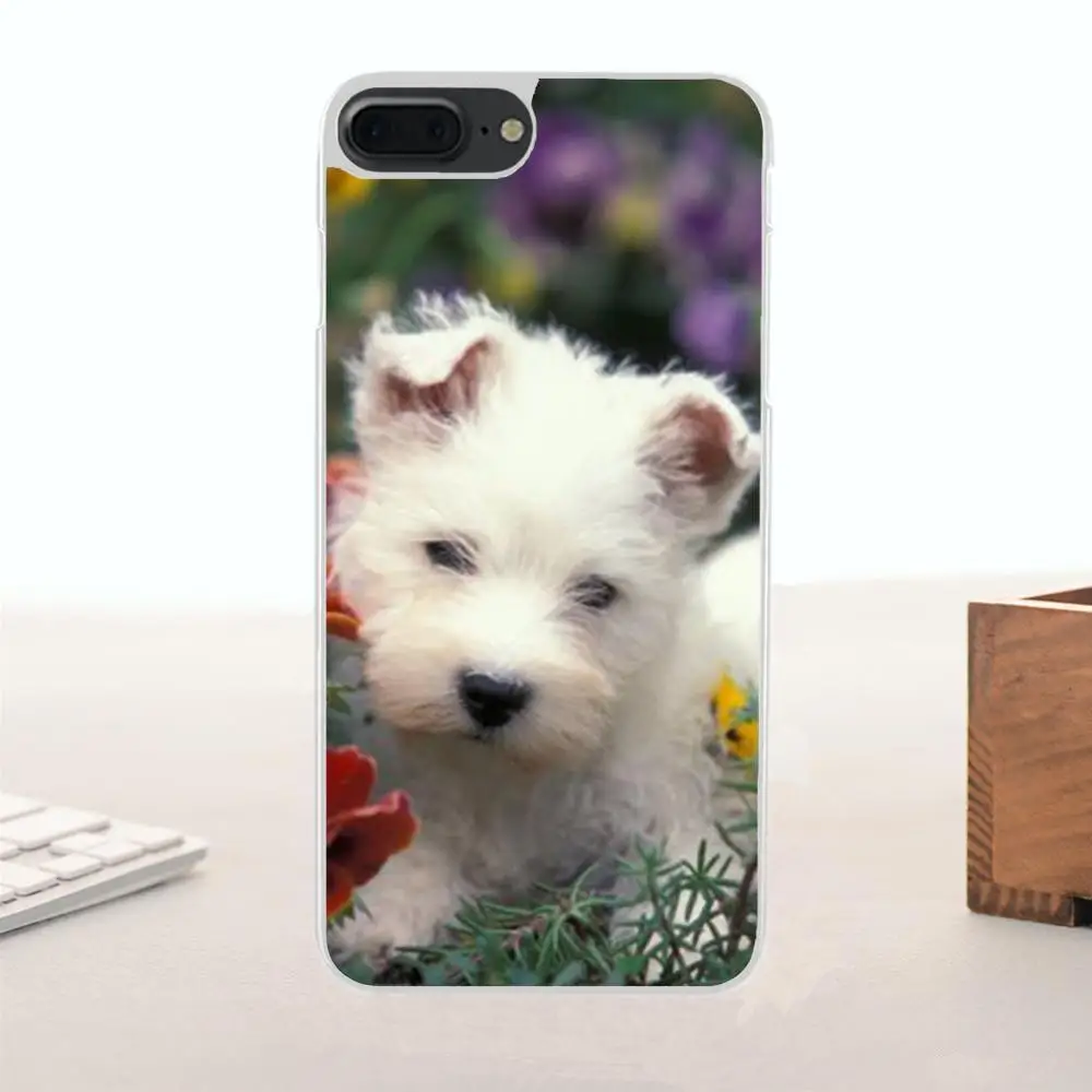 Bixedx ТПУ чехол для Samsung Galaxy A3 A5 A7 J1 J2 J3 J5 J7 2015 2016 2017 Westie Dog|Бамперы| |