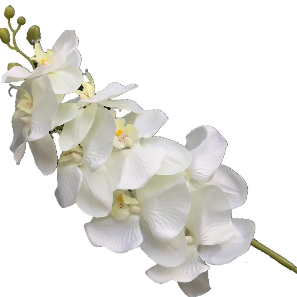 Орхидеи моли 25 шт. 8 головок большой размер длинный оранжевый цвет фаленопсис