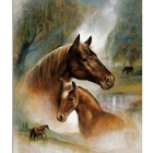 Новая Алмазная мозаика, полная Алмазная вышивка, животное, лошадь, живопись, алмазная живопись, вышивка крестиком, искусство ручной работы, украшение для дома