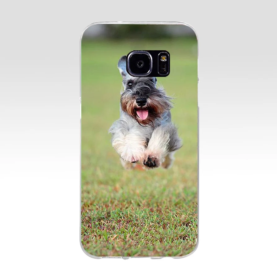 71H миниатюрный Schnauzer Мягкий ТПУ силиконовый чехол для samsung Galaxy s6 s7 edge s8 s9 plus |