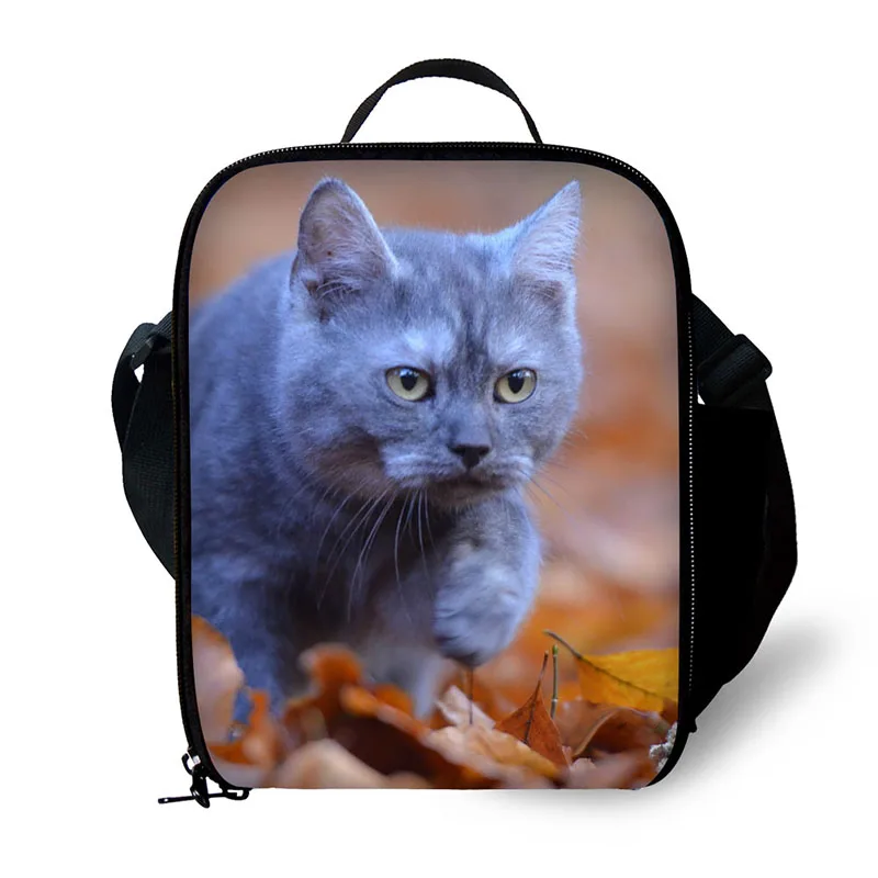 Сумки для ланча женщин крутые сумки с котом на заказ изолированная сумка