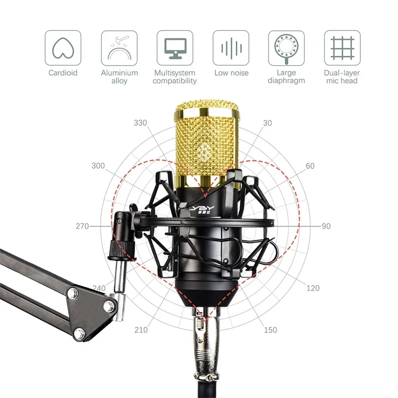 HOT! FELYBY BM 800 Professional Condenser Microphone for Computer Audio Studio Vocal Rrecording Mic Phantom Power Sound card | Электроника