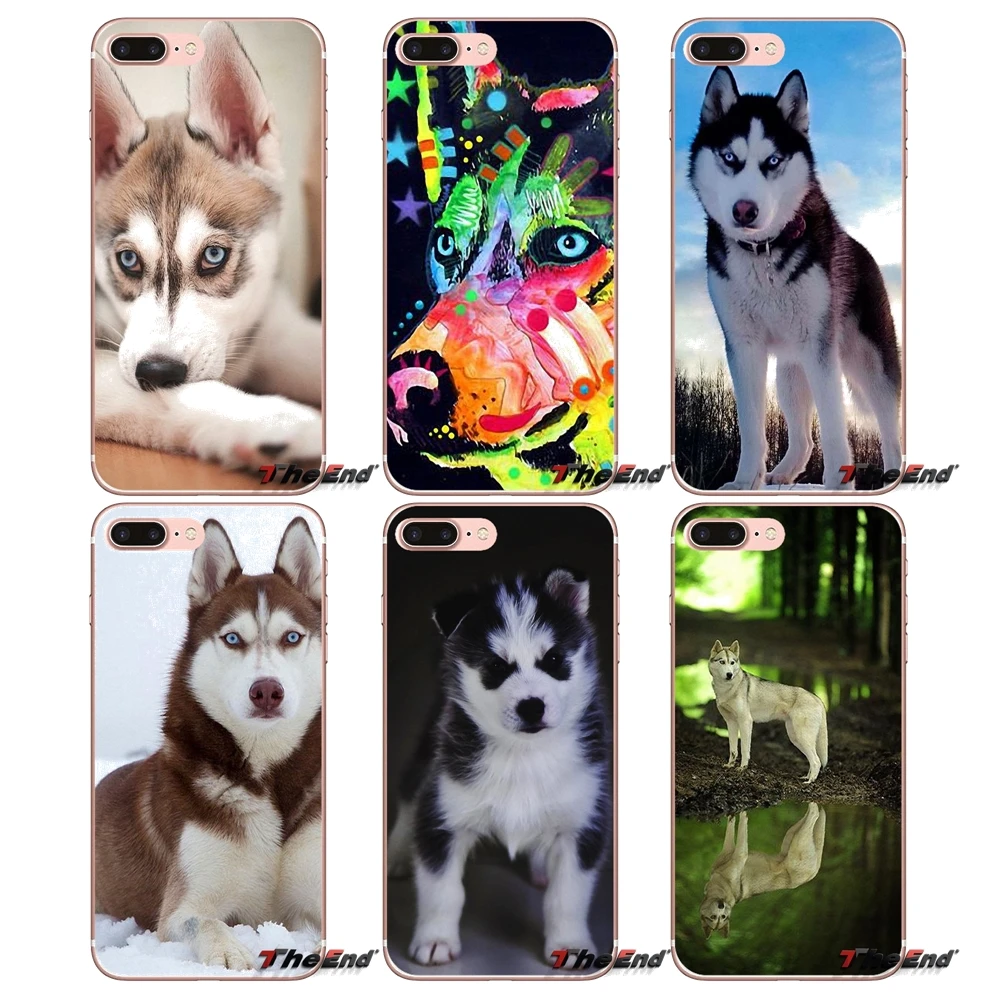 Для Apple iPhone X 4 4S 5 5S SE 5C 6 6S 7 8 Plus 6Plus 7plus 8plus Fundas Coque Siberian Husky Dog puppies Силиконовый ТПУ