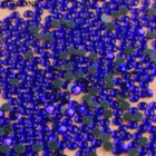 ZOTOONEflat Back ногти стразы s для одежды телефон Сделай Сам кристалл горячей фиксации аппликация из стеклянных страз стразы аппликация страз блестящие камни E