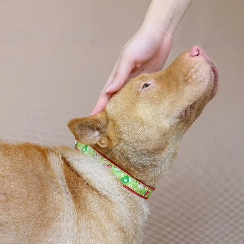 MUTTCO розничная продажа уникальный дизайн аксессуары для собак с Рождеством