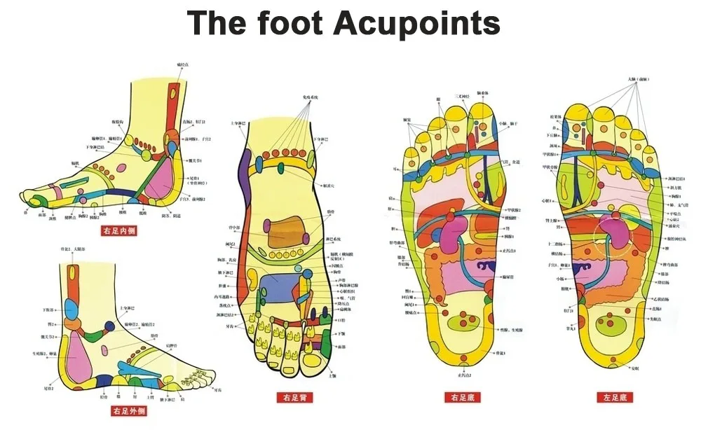 

20pcs=(10pcs Patches+10pcs Adhesives) Foot Detox Medical Foot Patches Herbal plasters weight lose Feet Slimming Cleansing