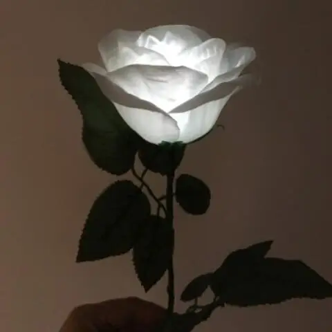 Белая подсветка Роза Волшебные трюки для свадебной вечеринки|magic tricks|rose magicmagic tricks