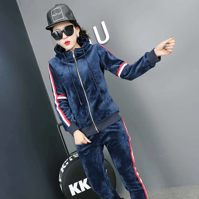 2017 спортивный комплект Для женщин замшевые Утепленная одежда кашемир с