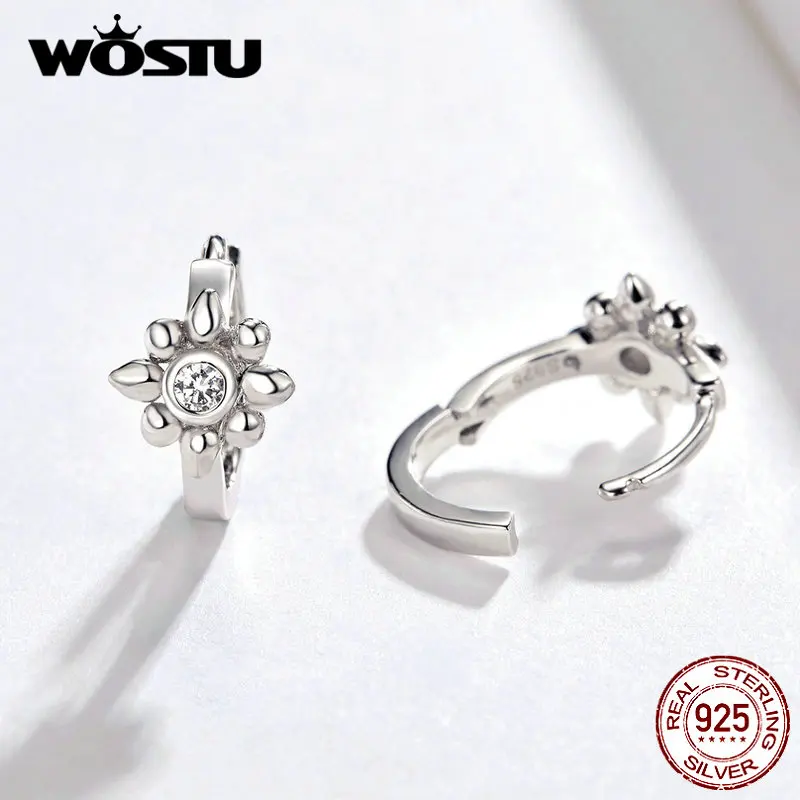 WOSTU, Классические круглые серьги-кольца в виде цветка, 925 пробы, серебро, стиль барокко, Кристальные серьги для женщин, модное ювелирное изделие FNE082