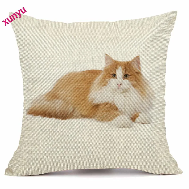 XUNYU Симпатичные желтый кот белье Наволочка диван Square Decorative Pillow крышка животный принт Чехлы 45X45 см BT001 - Цвет: 2