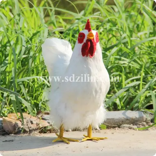 

Zilin Manufacturer simulation chicken model with real feather , lifesize and vivid 22*10*24 cm