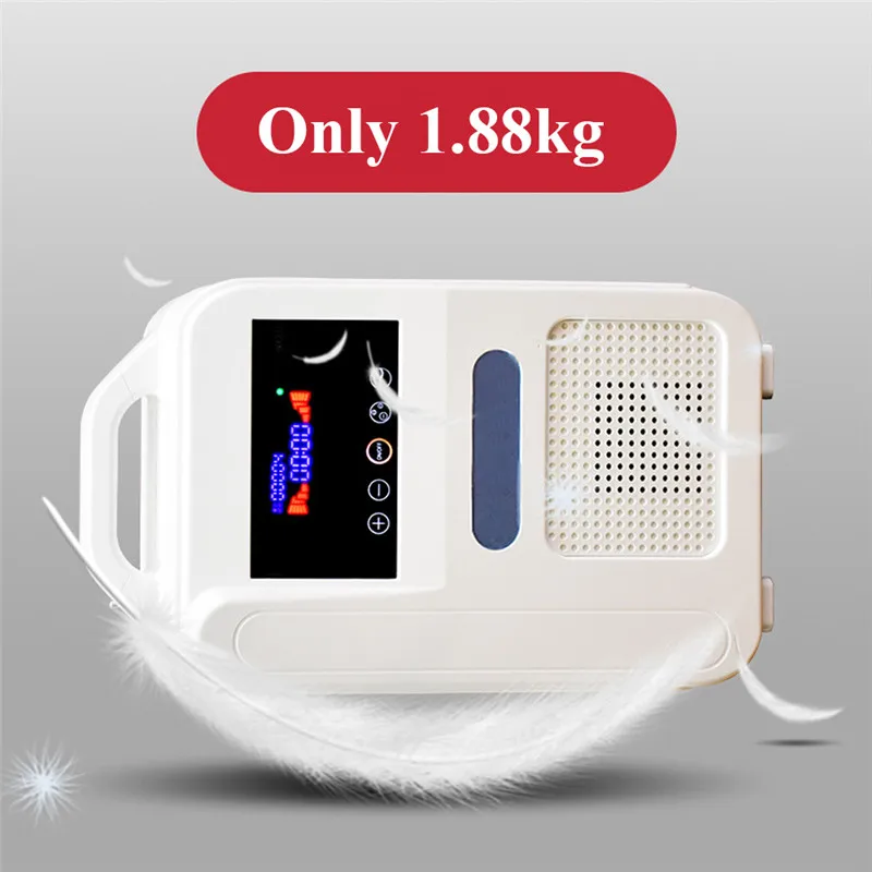 1Л/мин 110 В/220 В портативный домашний концентратор кислорода O2 генераторы