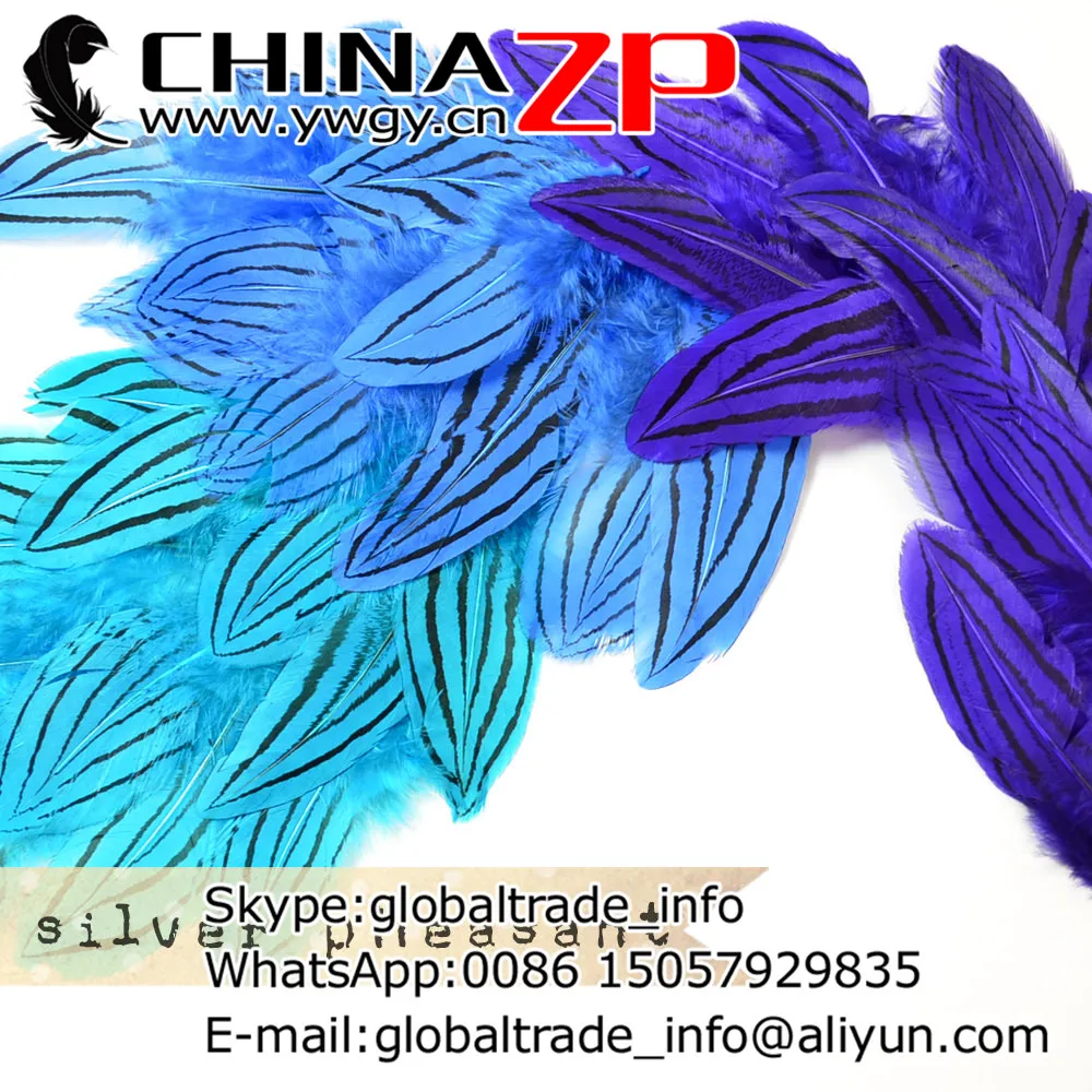 

Ведущий поставщик CHINAZP Factory 2000 шт./лот 8 ~ 10 см длина Красочные ариновые смешанные украшения серебряные перья фазана