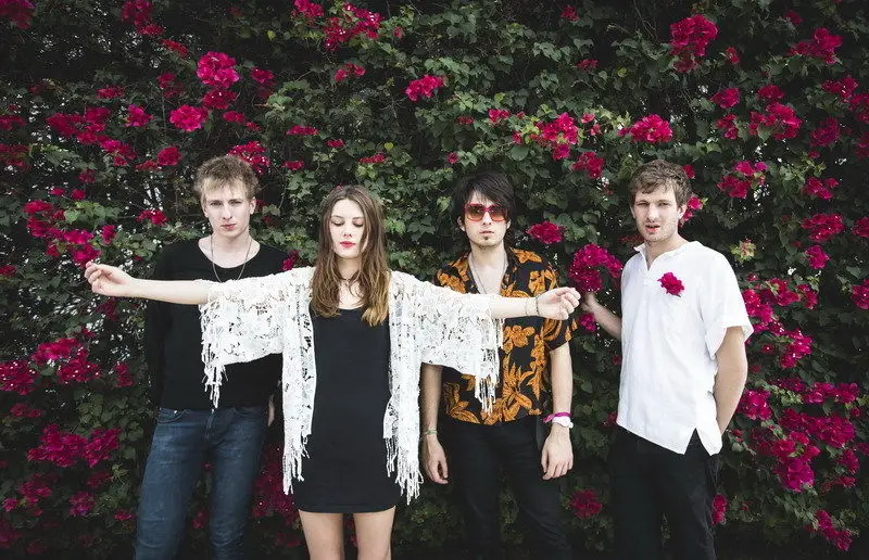Плакат Wolf Alice 22x14 дюймов 141 | Дом и сад