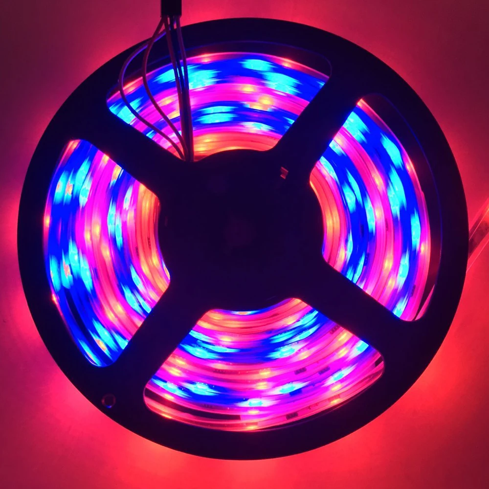 WS2811 5050 SMD RGB светодиодные ленты адресуемый 30/60 светодиодов/m Led Пиксели внешний Нормальный/яркий 5 м/рулон 16.5ft DC12V