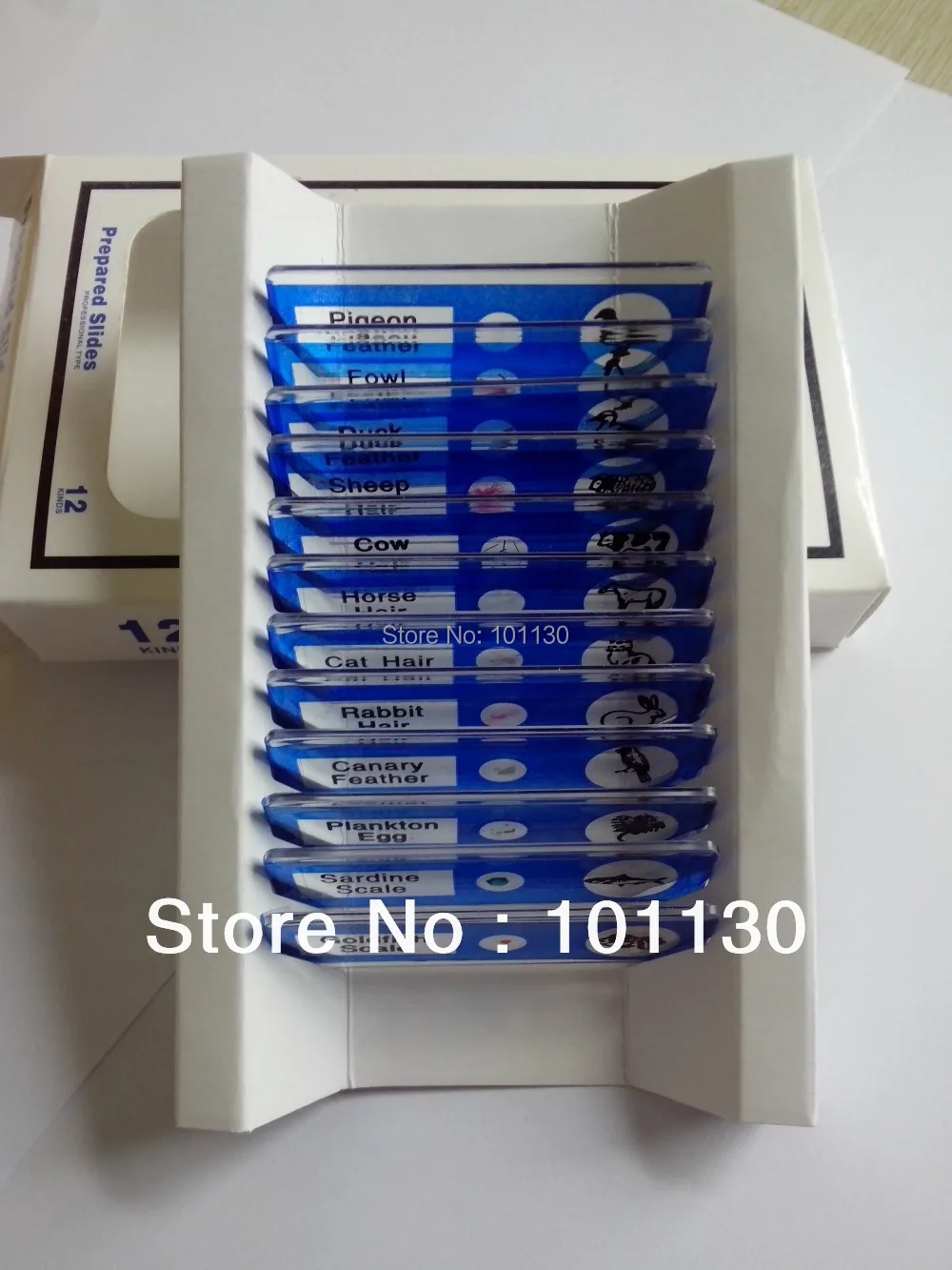12 шт животные пластиковые слайды подготовленные для микроскопа Биологический