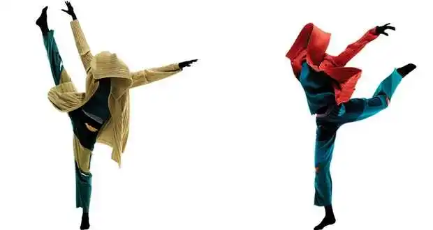 Miyake модная плиссированная футболка с v-образным вырезом и рукавами «летучая мышь»