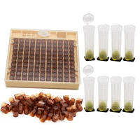 beekeeping tools equipment set queen rearing system cultivating box 120pcs plastic bee cell cups cupkit queen cage