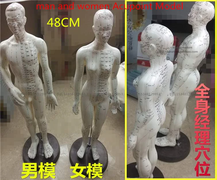 48CM chinese human acupuncture meridian points model male or female acupoint model with user manual man momen Acupoint Model