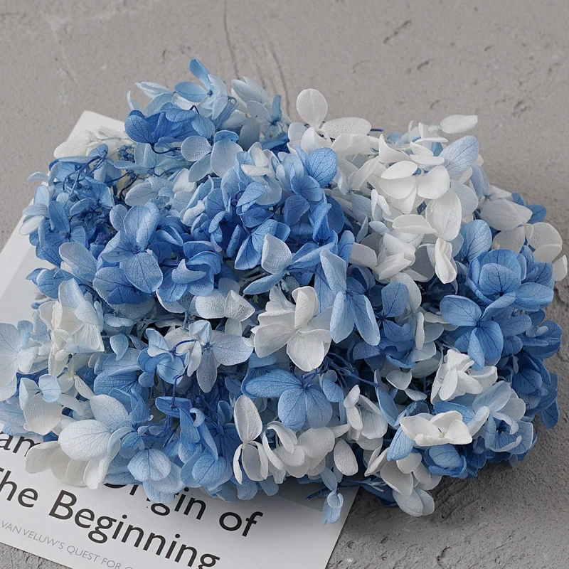 White and blue Гортензия оптом вечная жизнь цветок Diy Материал посылка стеклянная крышка сделать лепесток головной убор свечи делая поставки velas de cera - Цвет: White and blue