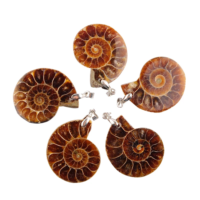 Модные ювелирные изделия натуральный аммонит осколочные ракушки морская