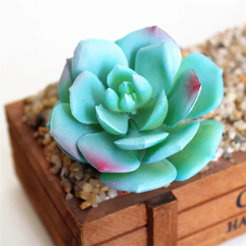 xuemeihua blue Artificial Succulent Plants Home Decoration Green Blue Plastic Faux Cactus Succulents Simulation Fake Plant Office Decoration - Цвет: xuemeihua blue