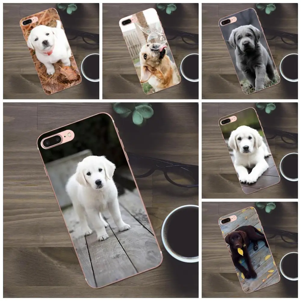 Роскошный классный чехол для телефона с лабрадором щенками Apple iPhone 4 4S 5 5C SE 6 6S 7 8 Plus