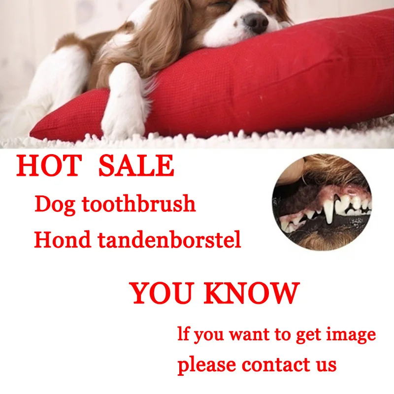 Зубная щетка для собак любимая игрушка домашних жевательный игрушки плюшевые
