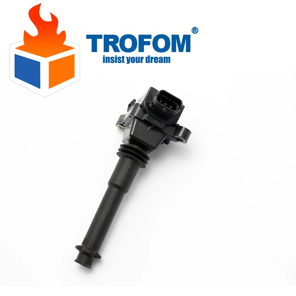 

Auto Ignition Coil For POLARIS MSX 150 FST Dragon IQ FS 2006-2014 MSX 0221504021 1220703032