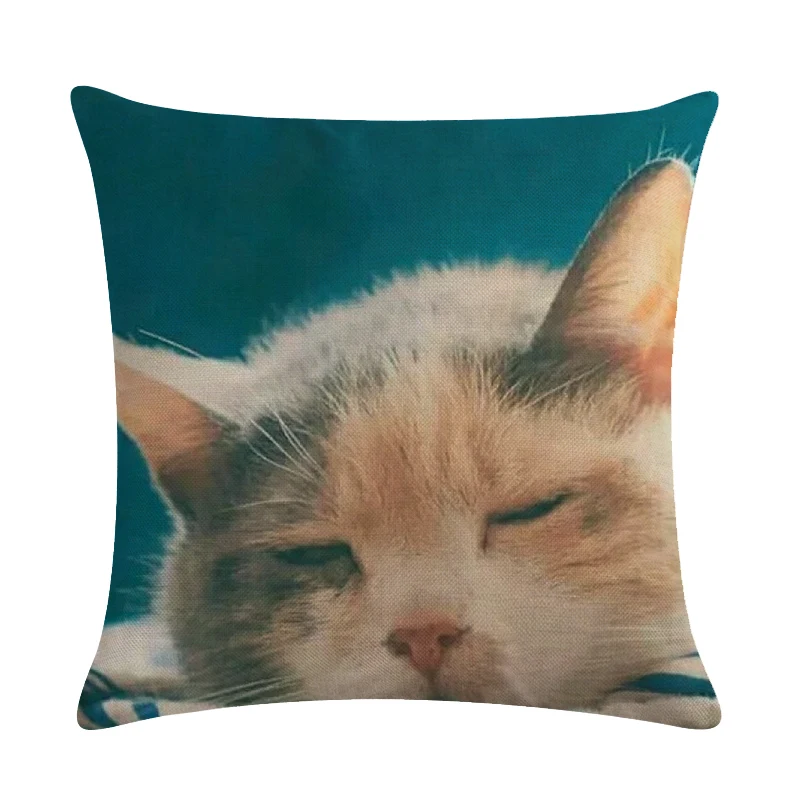 45*45cm Most Popular Cartoon Kitty Animal Pattern Cushion Cover Suitable for Home Decoration Comfortable Square Sofa Pillowcase |