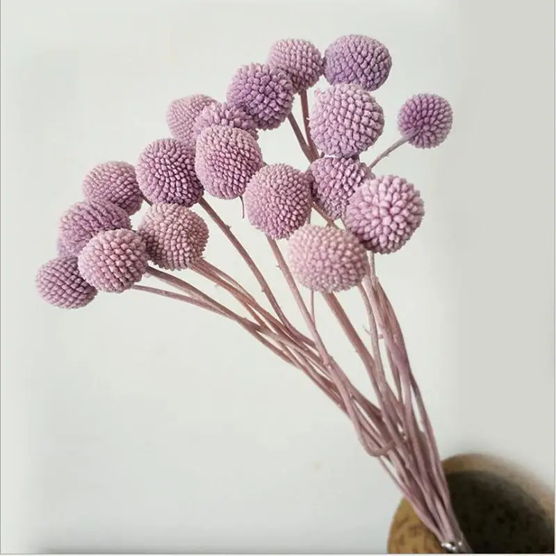 Lavender MiHuaGe сушеные цветы Золотой шар для гостиной дома спальни украшения натуральные вечные цветы подарок на праздник вечерние принадлежности - Цвет: Lavender