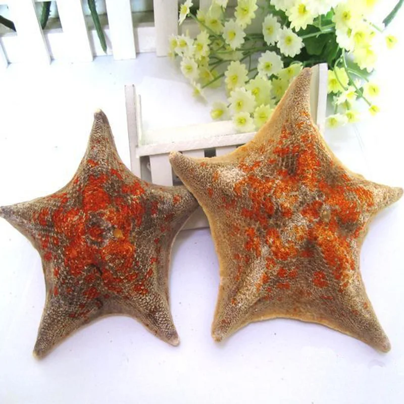 Бесплатная доставка (10 шт./лот) натуральная черепаха Морская звезда украшение для