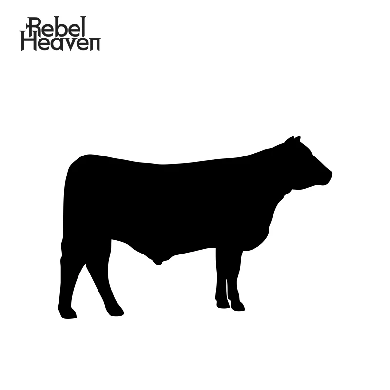 Виниловая наклейка Rebel небеса для стилизации автомобиля веселая JDM семейная